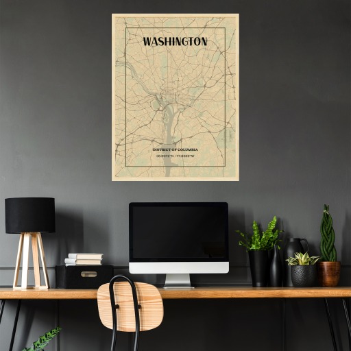 Washington D.C. in Vintage Poster - Street Map 3