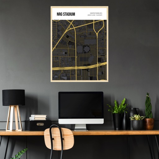 Houston Texans Stadium Poster - Street Map 4