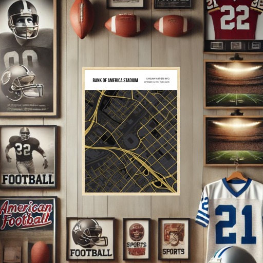Carolina Panthers Stadium Poster - Street Map 2