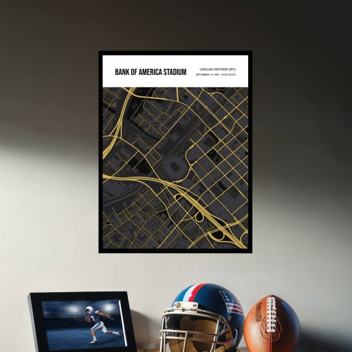 Carolina Panthers Stadium Poster - Street Map 3