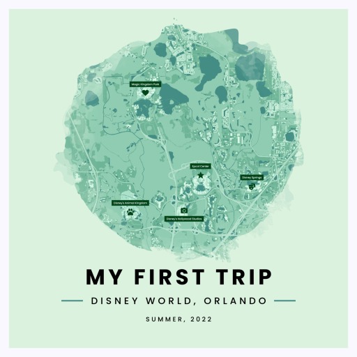 My First Trip Poster - Street Map 1