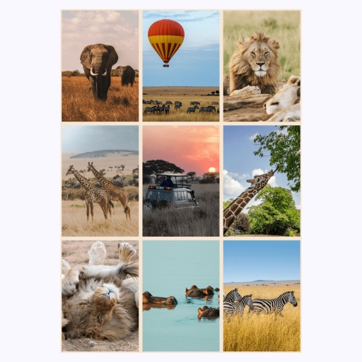 African Safari Poster - Photo Collage Print 1