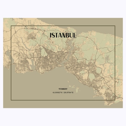 Istanbul in Vintage Poster - Street Map 1