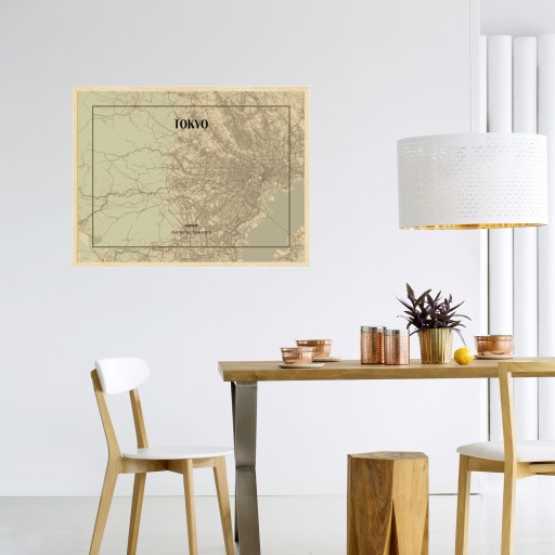 Tokyo in Vintage Poster - Street Map 4