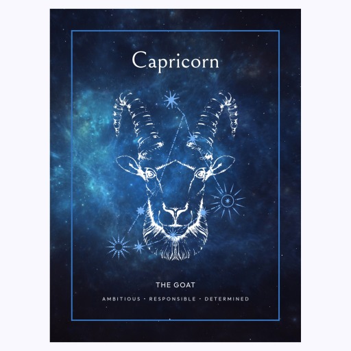 Capricorn in Embellished Outline Print - Custom Zodiac Sign Poster 6