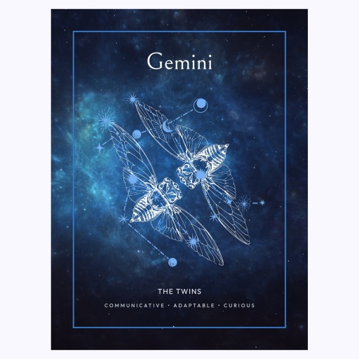 Gemini in Embellished Outline Print - Custom Zodiac Sign Poster 6