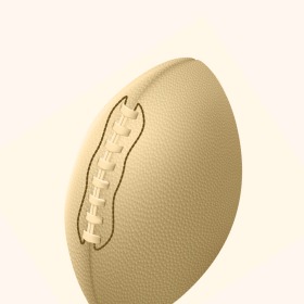 Gifts for Sports Fans